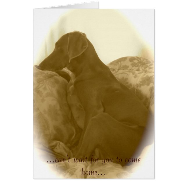 ...can't wait for you to come home... (Front)