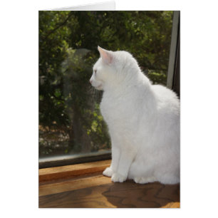 Can't Wait to See You