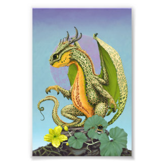 Cantaloupe Dragon 4x6 Print