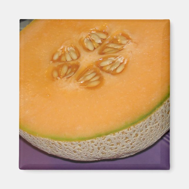 Cantaloupe Magnet (Front)