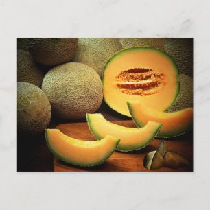 Cantaloupe Postcard