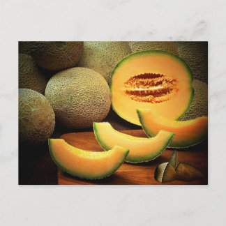 Cantaloupe Postcard