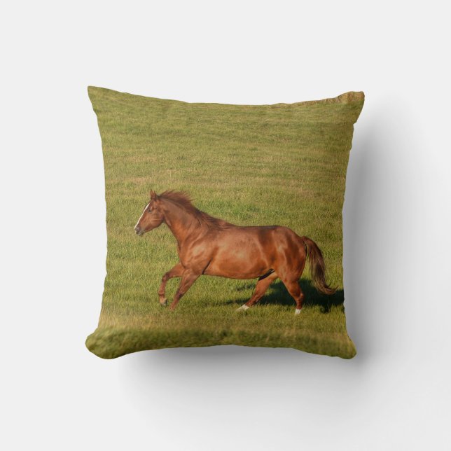 Cantering, Running Chestnut Horse Equine Photo Cushion (Front)