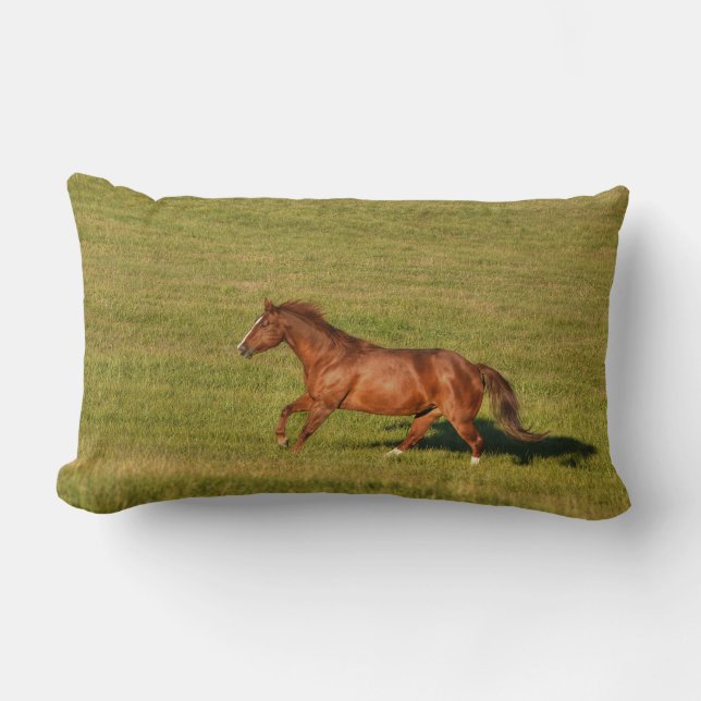 Cantering, Running Chestnut Horse Equine Photo Lumbar Cushion (Front)