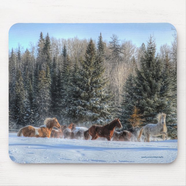 Cantering, Running Horses in Winter Snow Photo Mouse Pad (Front)