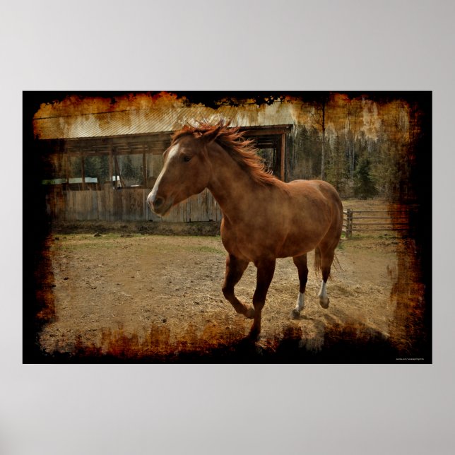 Cantering Sorrel Horse Comes Home to the Barn Poster (Front)