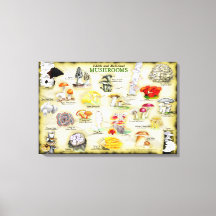 Canvas 30x20 Mushrooms