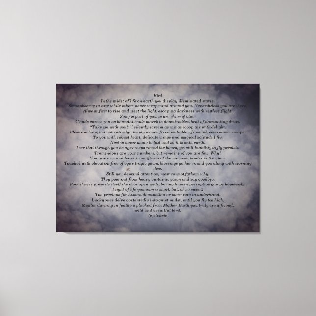 CANVAS ART AND DESIGN STYLE  (Front)