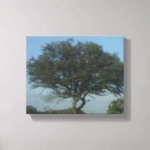 CANVAS ART AND DESIGN STYLE