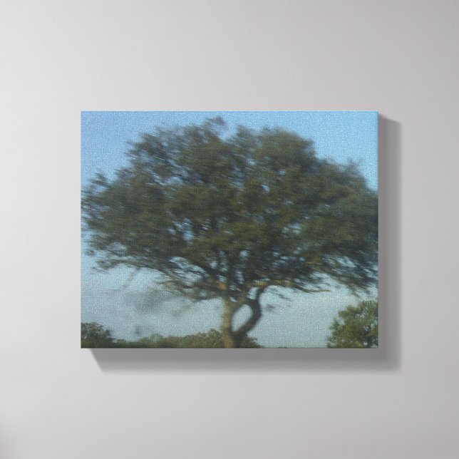 CANVAS ART AND DESIGN STYLE  (Front)