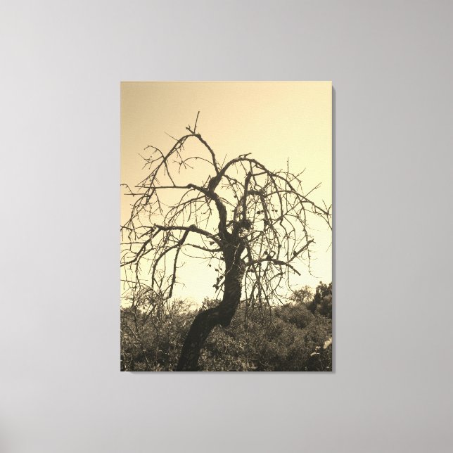 CANVAS ART AND DESIGN STYLE  (Front)