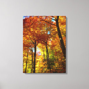 Canvas Art-Autumn Trees Print