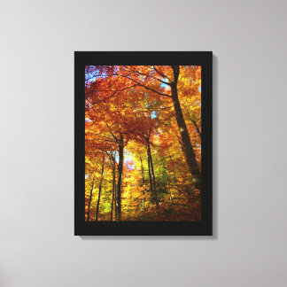Canvas Art-Autumn Trees Print