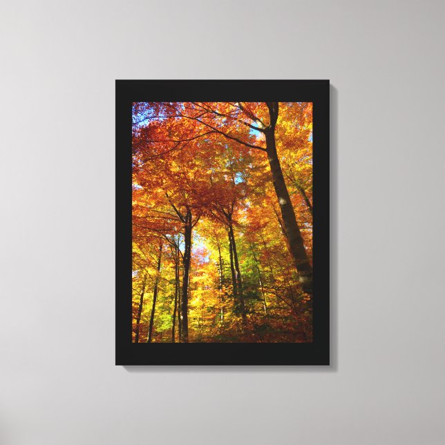 Canvas Art-Autumn Trees Print (Front)
