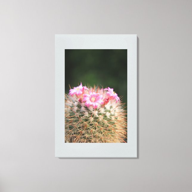 Canvas Art-Cactus (Front)
