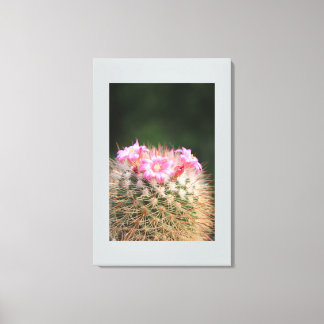 Canvas Art-Cactus Print
