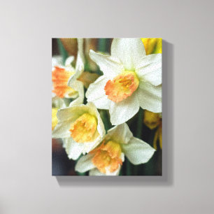 Canvas Art-Daffodils