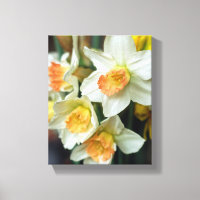 Canvas Art-Daffodils