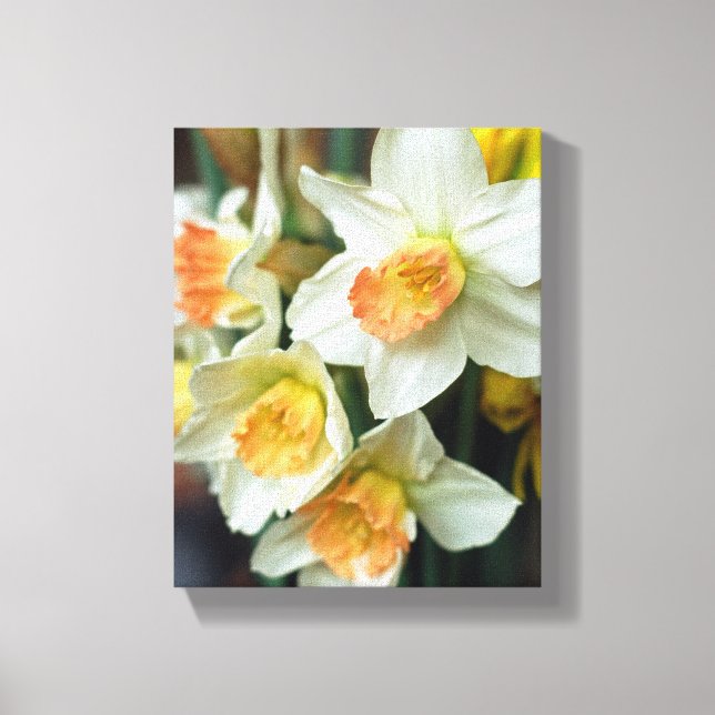 Canvas Art-Daffodils Print (Front)