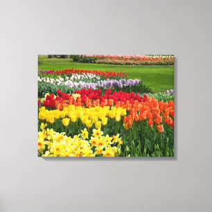 Canvas Art-Flowers Print