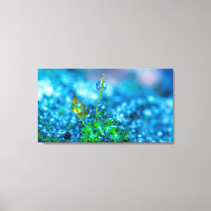Canvas Art - Grass with Drops of Water