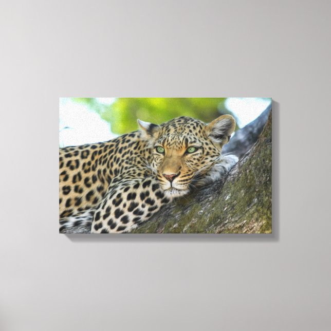 Canvas Art-Leopard Print (Front)