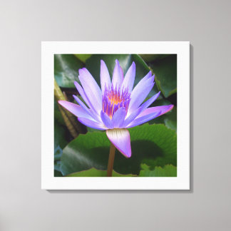 Canvas Art-Lotus Flower Print