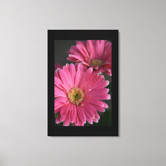 Canvas Art-Pink Daisies Print