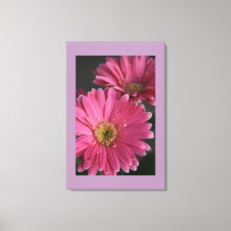 Canvas Art-Pink Daisies Print