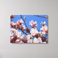 Canvas Art-Pink Magnolia