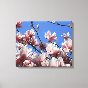 Canvas Art-Pink Magnolia Print