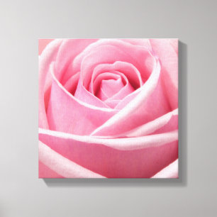 Canvas Art-Pink Rose Print