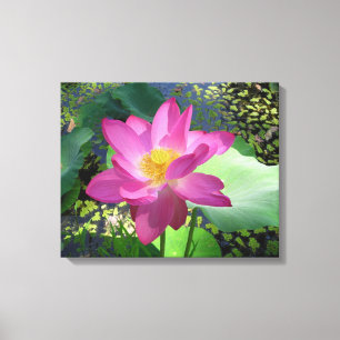 Canvas Art-Pink Water Lily