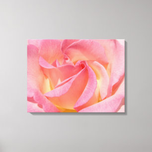 Canvas Art Prints Pink Rose Flower Spiral