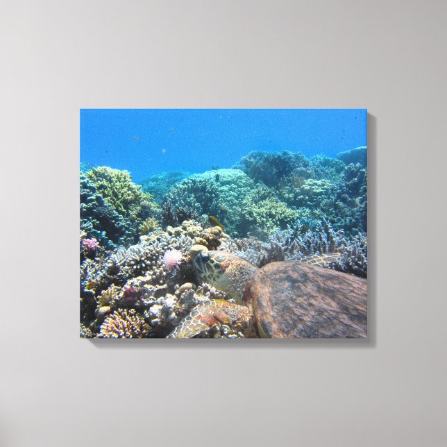 Canvas Art-Sea Turtle Print (Front)