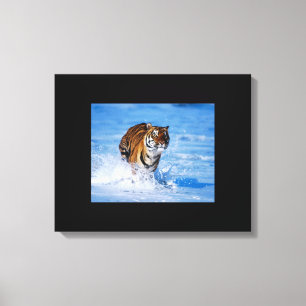 Canvas Art-Tiger Print