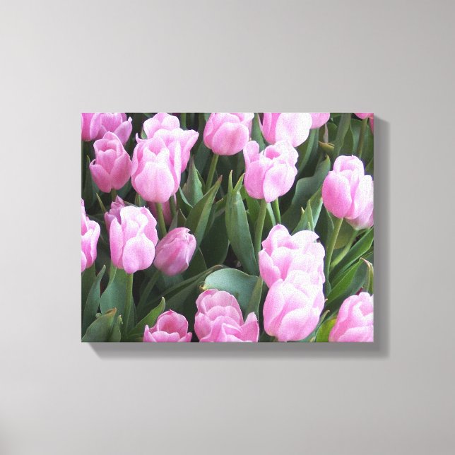 Canvas Art Tulips (Front)