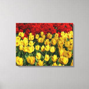 Canvas Art-Tulips Print