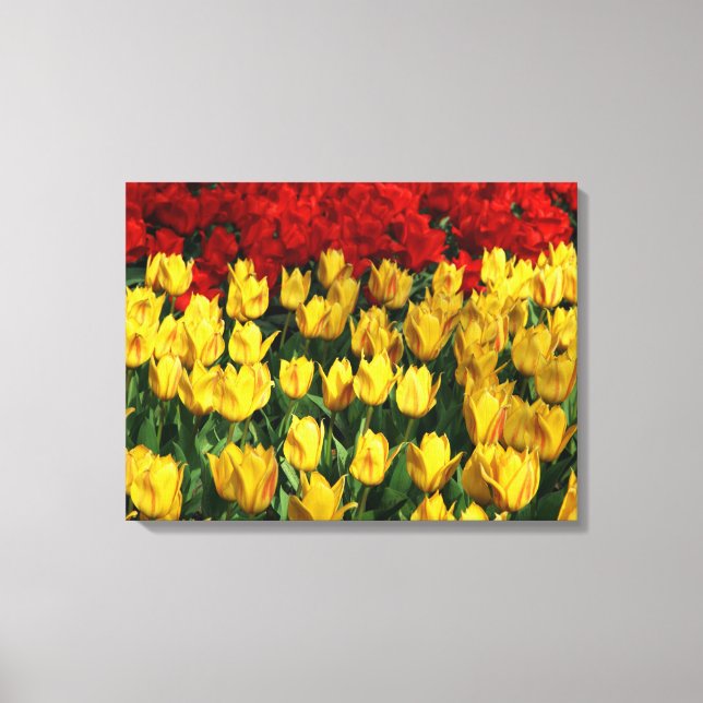 Canvas Art-Tulips Print (Front)