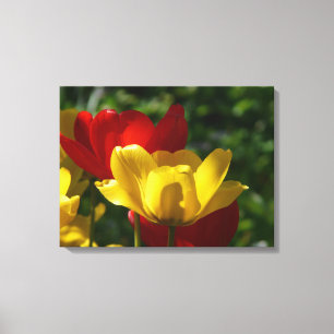 Canvas Art-Tulips Print