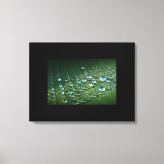 Canvas Art-Water Droplets Print