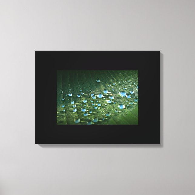 Canvas Art-Water Droplets Print (Front)