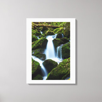 Canvas Art-Waterfall Print
