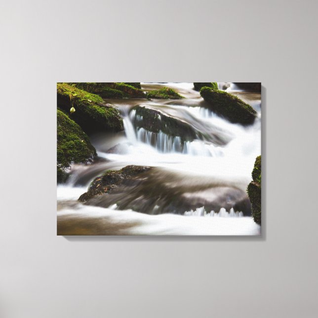 Canvas Art-Waterfall Print (Front)