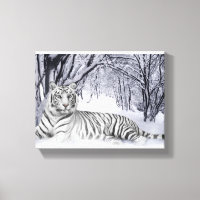 Canvas Art White Tiger