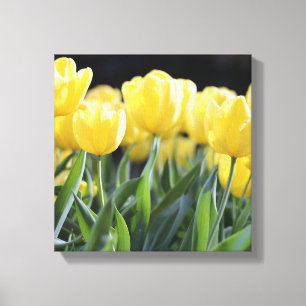 Canvas Art-Yellow Tulips