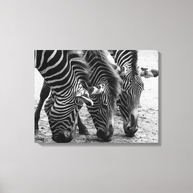 Canvas Art-Zebras Print (Front)