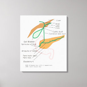 Canvas Biliary System Diagram Chart Gall Bladder Print
