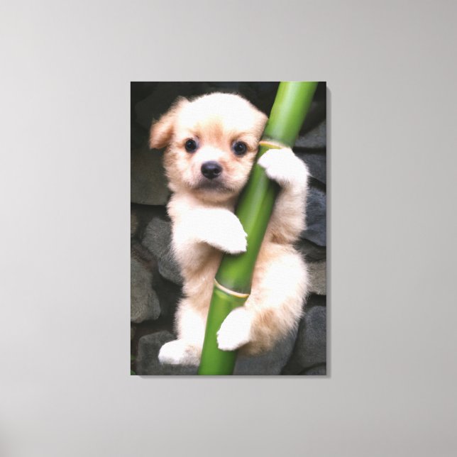 Canvas Cute Puppy Gaejook 개죽이  Print (Front)