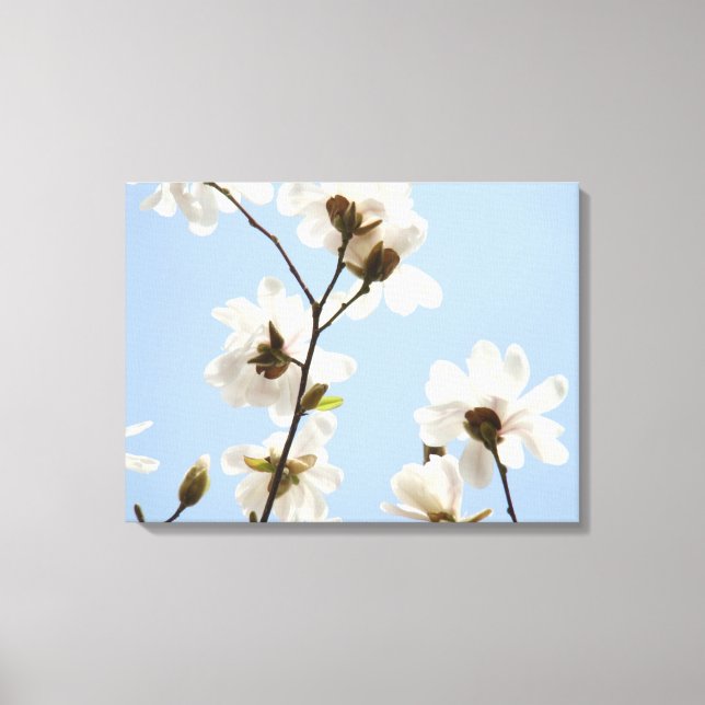 Canvas Floral Magnolia Tree Blossoms art prints (Front)